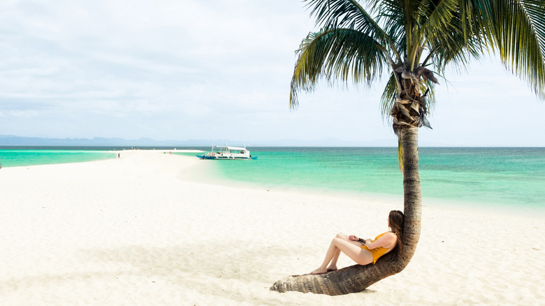Woman rests in bend of trunk of palm tree on Kalanggaman Island beach