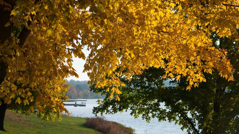 Fall colors framing Shawnee Mission Lake
