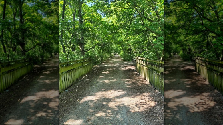 Bridge on the Prairie Spirit Trail State Park in Kansas