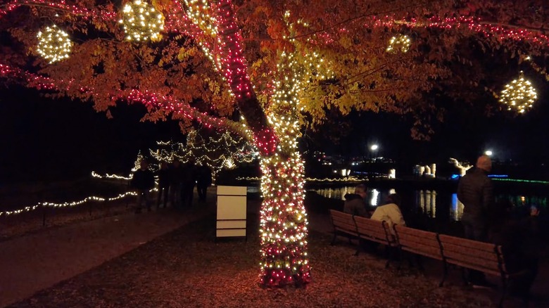 Holiday lights at the Overland Park Arboretum & Botanical Center