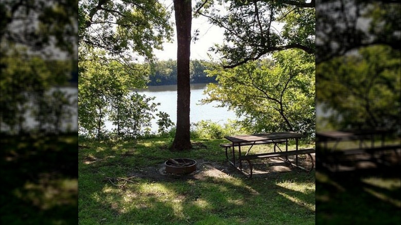 A picnic table and a small fire pit surrounded by bushes and trees next to El Dorado Lake, Kansas