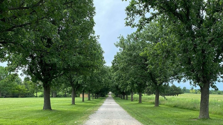 A tree-lined trail at Kaw River State Park, Kansas