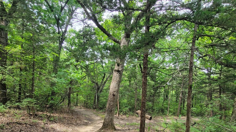 Rugged trails at Kaw River State Park, Kansas, with trees providing shade