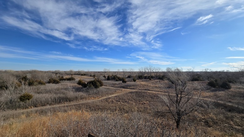 The sandy areas at Sand Hills State Park, Kansas, with dry vegetation on a sunny day