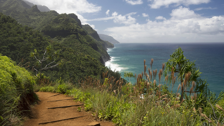 a trail along the coast with the ocean in the background