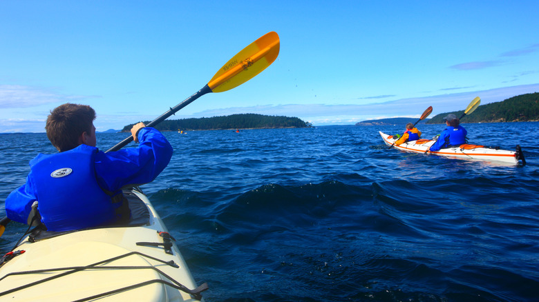 Two kayaks slide through the waters near the San Juan Islands in Washington State