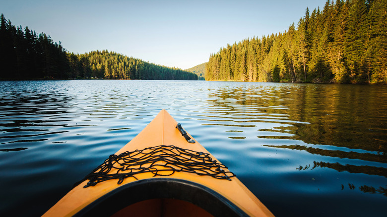 POV from photographer sitting in a kayak on a peaceful lake surrounded by trees