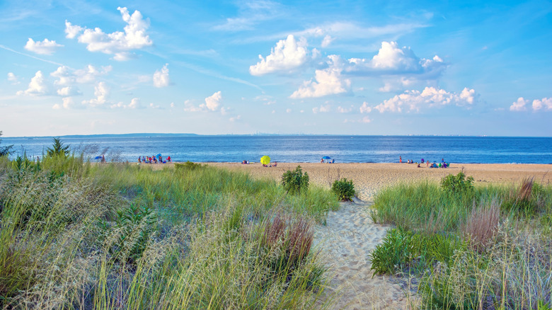 A trail leading to the Keansburg Beach, a free beach along the Jersey Shore with a distant view of Manhattan.