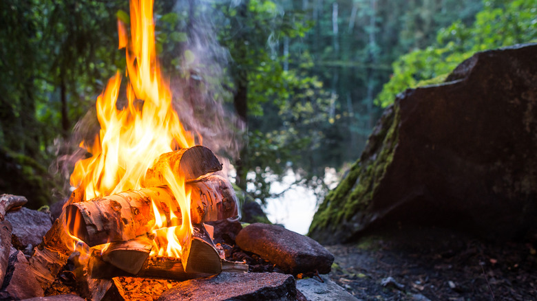 Campfire burning in a forest and warming stones
