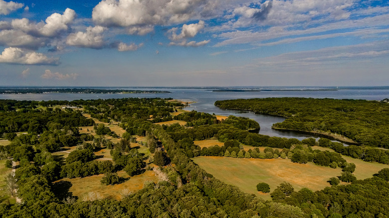 An aerial view of the trees and bays of Goddard Memorial State Park in Kent County, Rhode Island