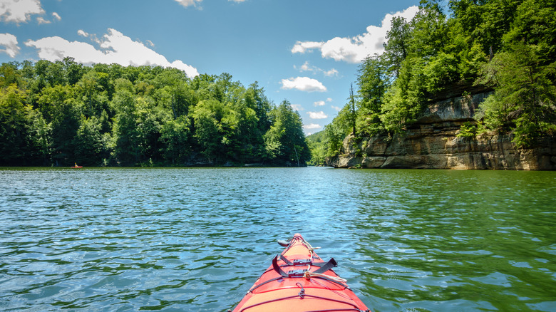 Grayson Lake from a kayak, with trees and clean water under a sunny sky