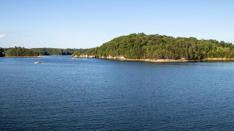 Laurel River Lake and a sand beach bordered by trees in the distance