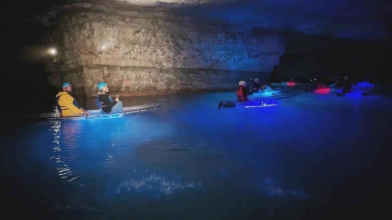 Rainbow trout in the crystal clear water in the underground limestone mine