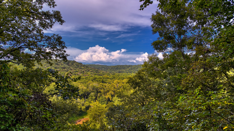 View of Mammoth Cave National Park valley with blue sky, clouds