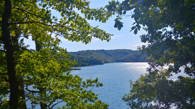 Yatesville Lake in Kentucky framed by trees on a sunny day