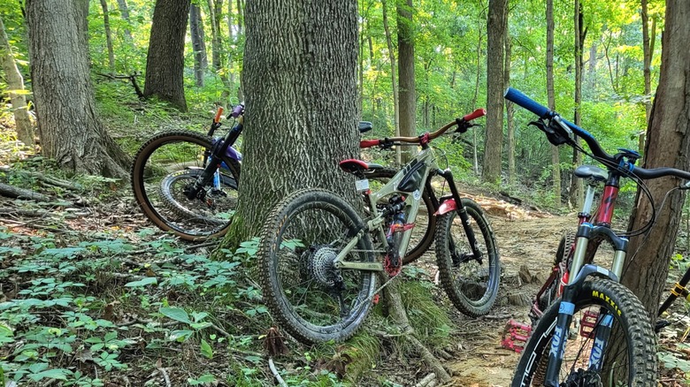 Three bikes sitting along a wooded mountain bike trail at Fort Duffield