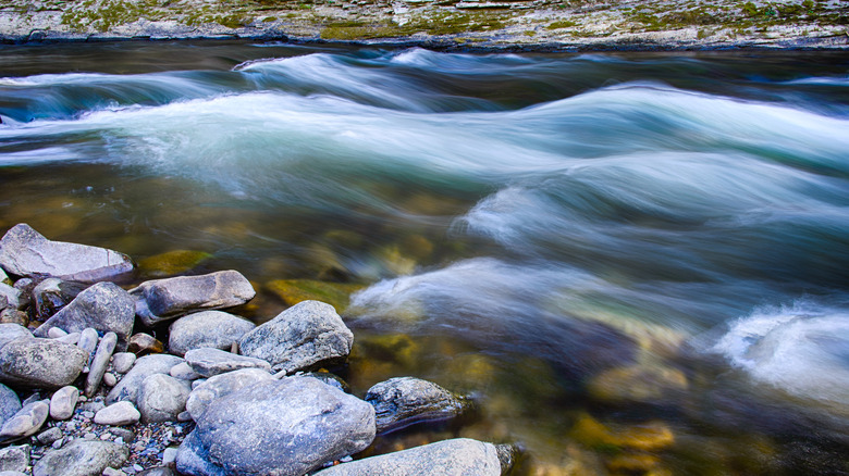 Rapids in the Russell Fork River