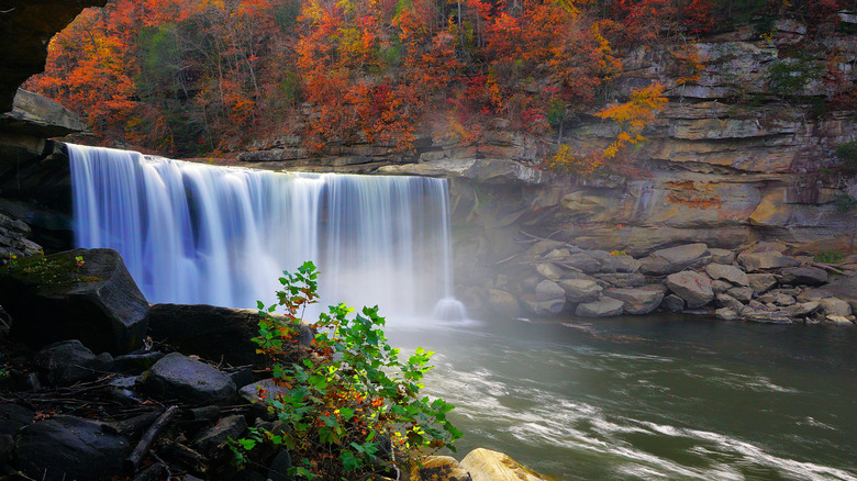 A waterfall at Cumberland Falls State Resort Park, near Williamsburg, Kentucky