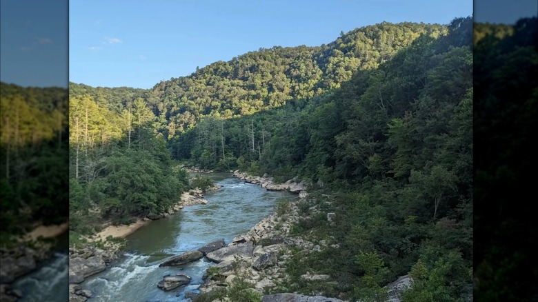 View along the Sheltowee Trace Tralil