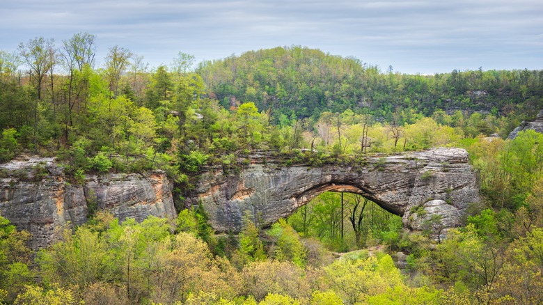 Scenic rock formation in Daniel Boone National Forest