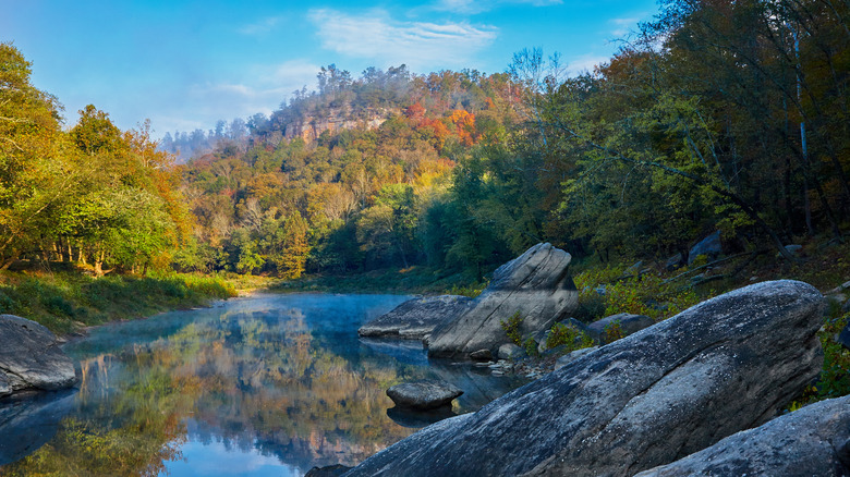 Foggy morning on the Rockcastle River