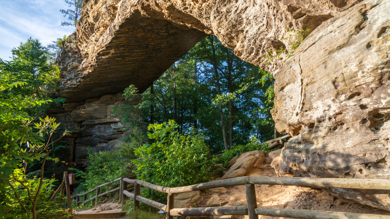 Natural Bridge Trail in Kentucky