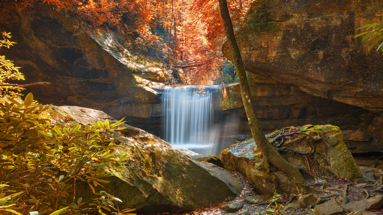 A waterfall and autumn foliage