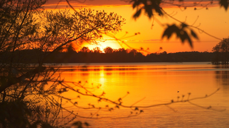 A golden sunset at Lake Peewee in Madisonville with a calm surface and distant trees.