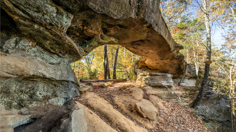 Sandstone archway at Red River Gorge Geological Area, Kentucky