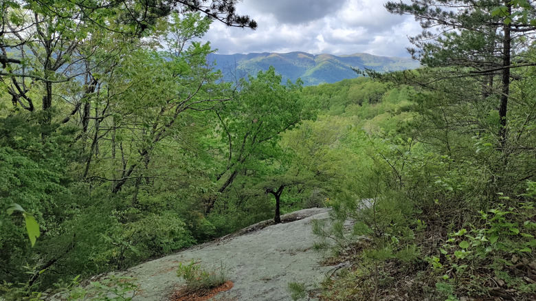 Pretty forest views in Kingdom Come State Park