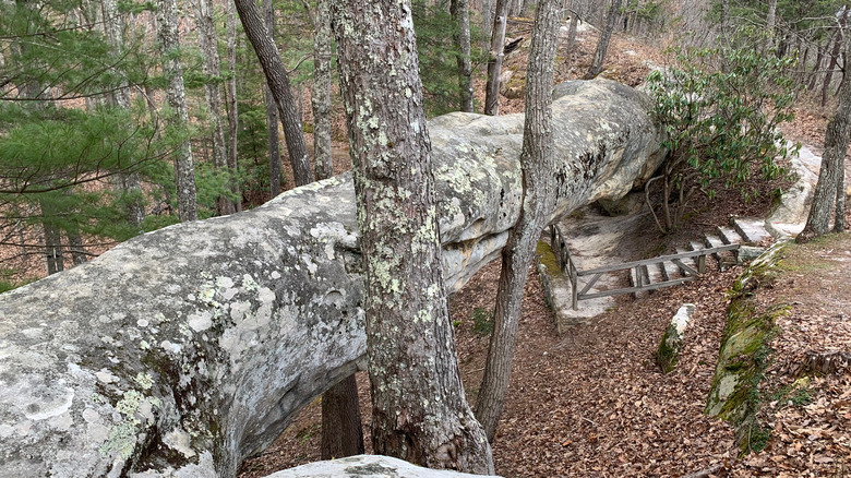 Log rock at Kingdom Come State Park in Kentucky