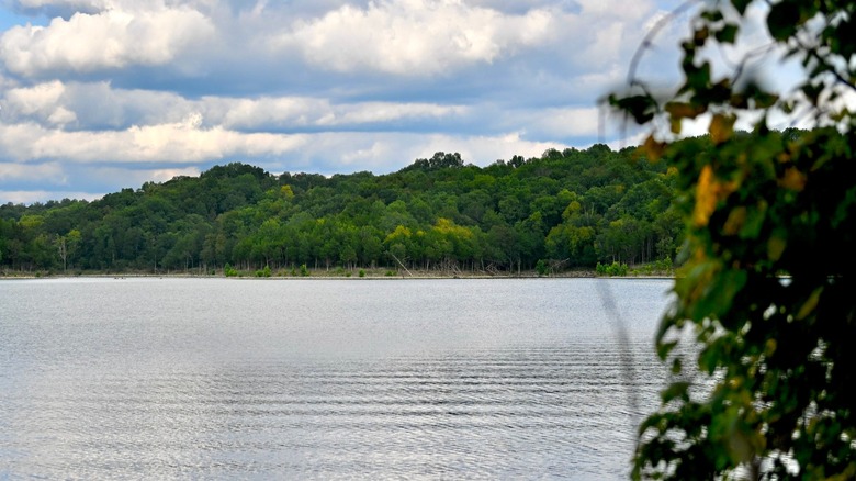 Taylorsville Lake State Park in Kentucky