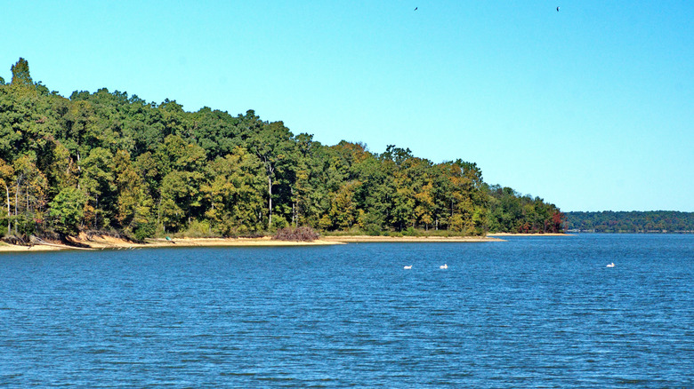 The still waters and lush forest the Land Between the Lakes National Recreation Area