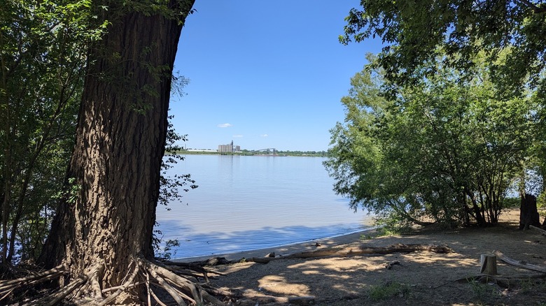 View from the shore of the Swan Lake Unit of the Boatwright WMA in Kentucky