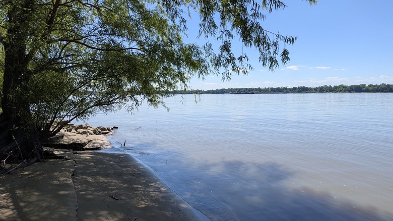 Blue waters of Swan Lake, Kentucky, with a tree growing from the left side of the frame, a boat launch in the foreground, and trees along the far shore