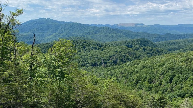 View from a lookout at Blanton Forest State Nature Preserve in the Appalachian Mountains, Kentucky