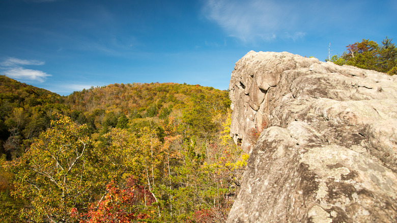 View from Knobby Rock Overlook in Blanton Forest State Nature Preserve near Wallins, Kentucky