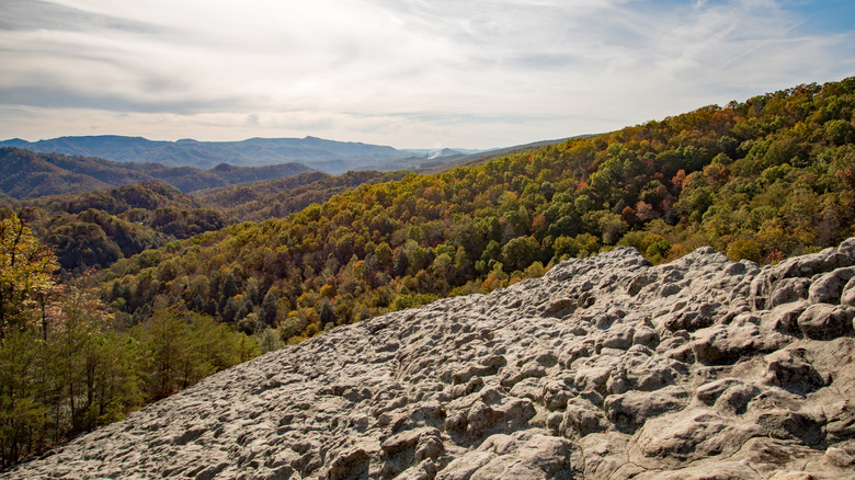 View from Knobby Rock Overlook in Blanton Forest State Nature Preserve near Wallins, Kentucky