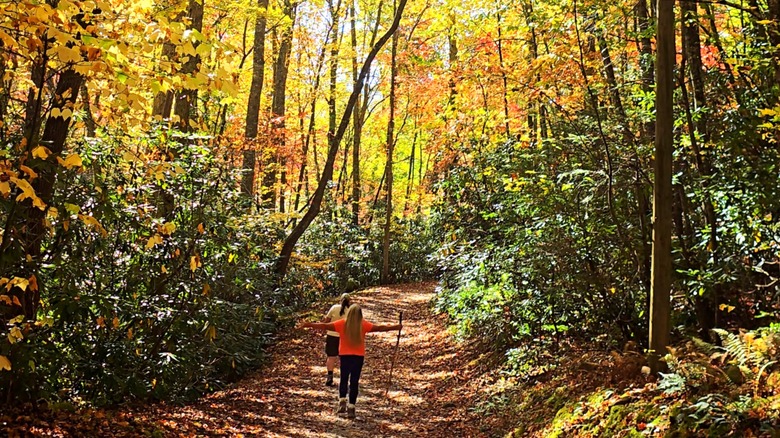 Two hikers walk on a trail at Kingdom Come State Park in the Tri-Cities area of Harlan County, Kentucky