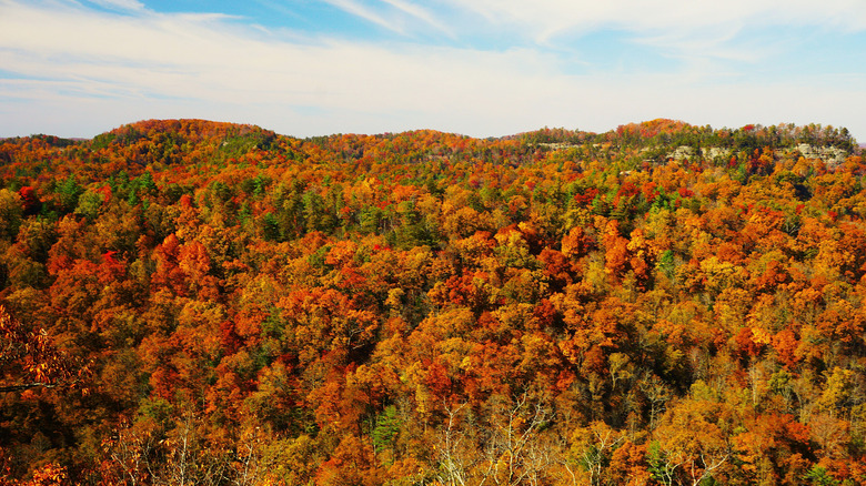 Natural Bridge State Resort Park in the Red River Gorge, Kentucky