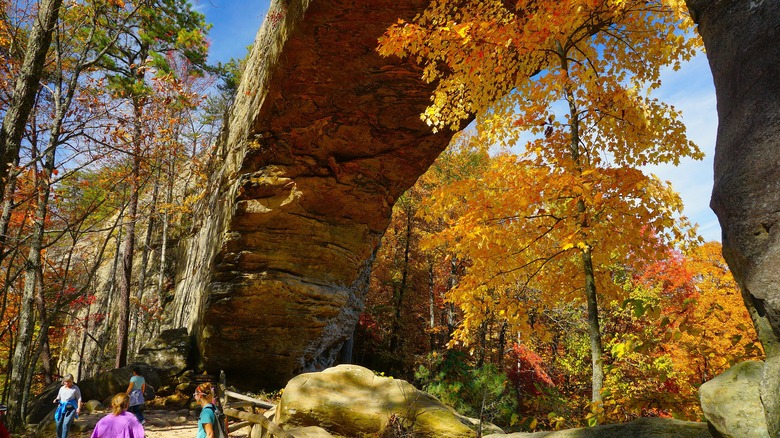 Natural Bridge at the eponymous state park in the Red River Gorge, Kentucky