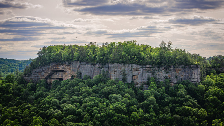 Rock ledges in the Red River Gorge, Kentucky
