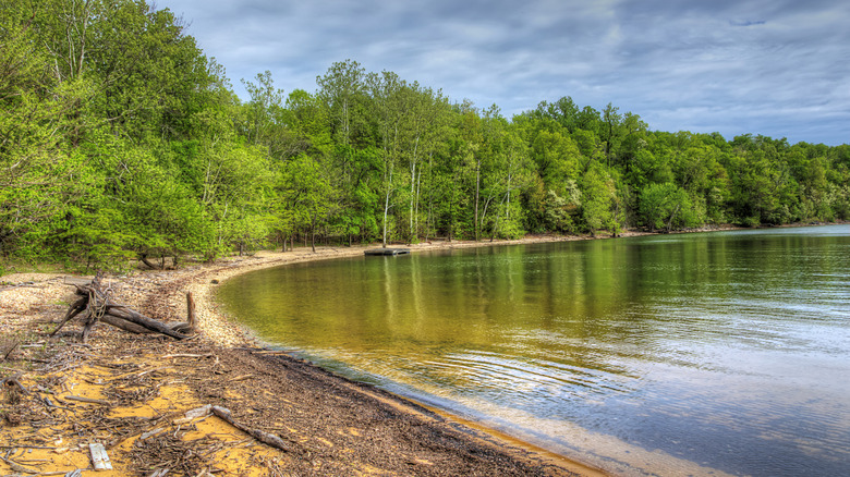Shoreline in Land Between the Lakes Recreation Area, with a cloudy sky over green trees