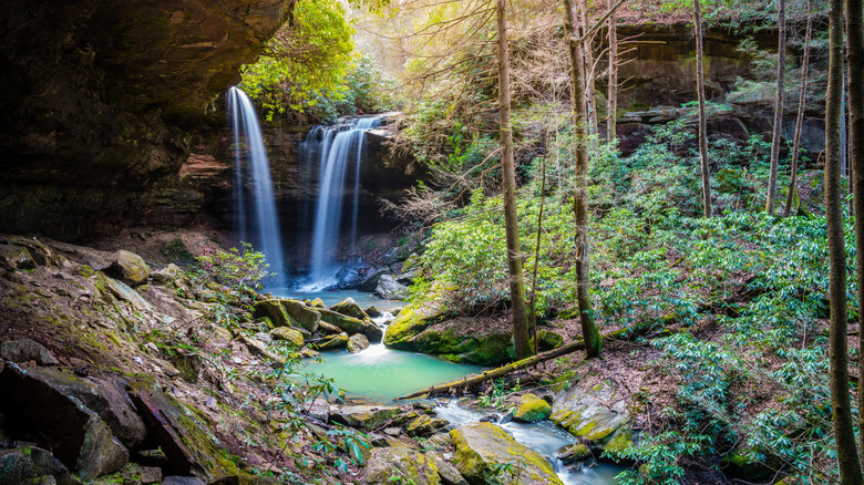 View of falls from within Daniel Boone National Forest
