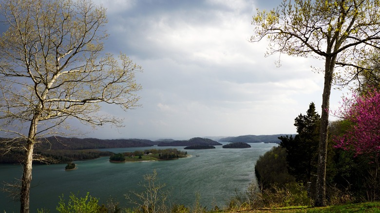 View from near Dale Hollow Lake State Resort Park's campsite