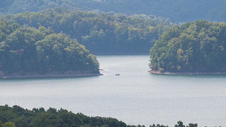 View of Dale Hollow State Park's lake with a small boat in the centre