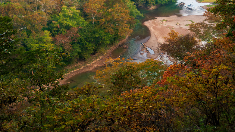 fall colors on trees near Mammoth Cave National Park