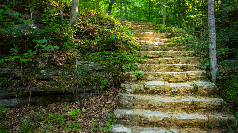 Carter Caves State Park in Olive Hill, Kentucky, where a music festival is held