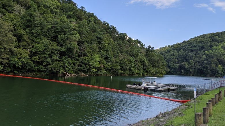 A boat docked next to forested banks at Fishtrap State Park in Kentucky