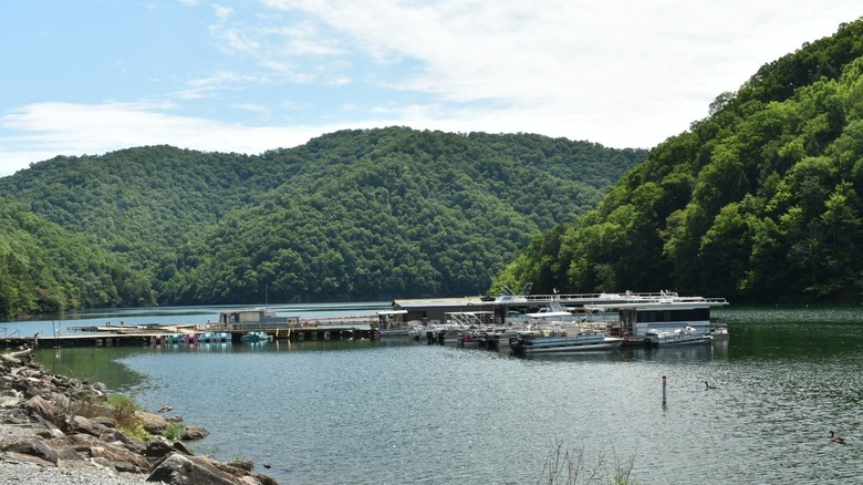 Fishing and paddle boats docked at a marina at Fishtrap Lake in Kentucky